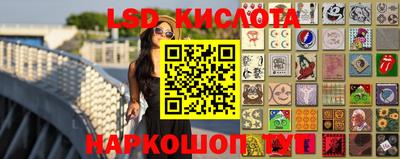 spice Бердск