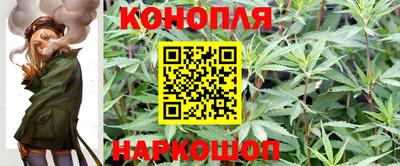 индика Белореченск