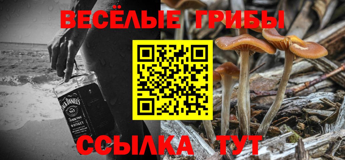 Псилоцибиновые грибы мухоморы  Вход с VPN  Клин  цены   Галлюциногенные грибы Magic Shrooms 